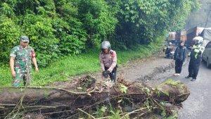 melakukan-pembersihan-material-pohon-tumbangnso-Sabtu-2122023.jpg