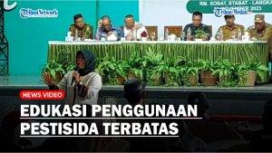pelatihan-atau-mengedukasi-kepada-petani-soal-penggunaan-pestisida-terbatas.jpg