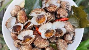Resep Asem-asem Kerang Dara, Sajian Laut Sederhana yang Siap Menggoyang Lidah