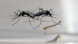 selain-demam-berdarah-dengue-dbd-dan-kencing-tikus-di-musim-hujan-waspada-6-penyakit-incar-anda.jpg