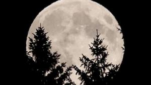 medan/supermoon-terlihat-di-austria-10-agustus-2014_20161114_181929.jpg