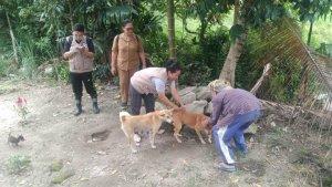vaksin-rabies-simalungun-I.jpg