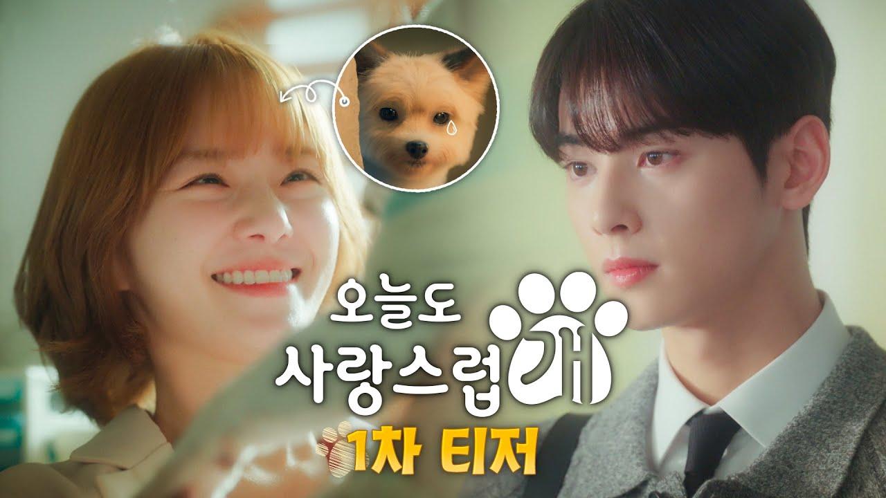 A-Good-Day-to-Be-a-Dog-merupakan-salah-satu-drama-Korea-yang-paling-populer-di-platform-Viki.jpg