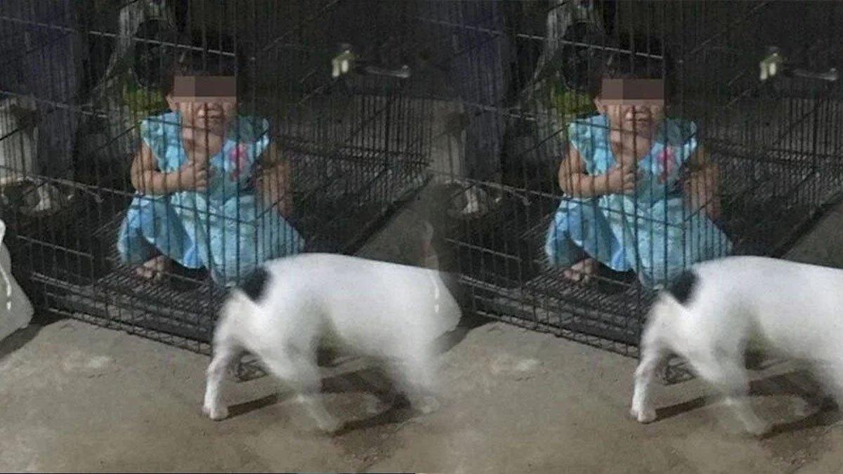 Anak-Dikurung-di-Dalam-Kandang-Anjing.jpg