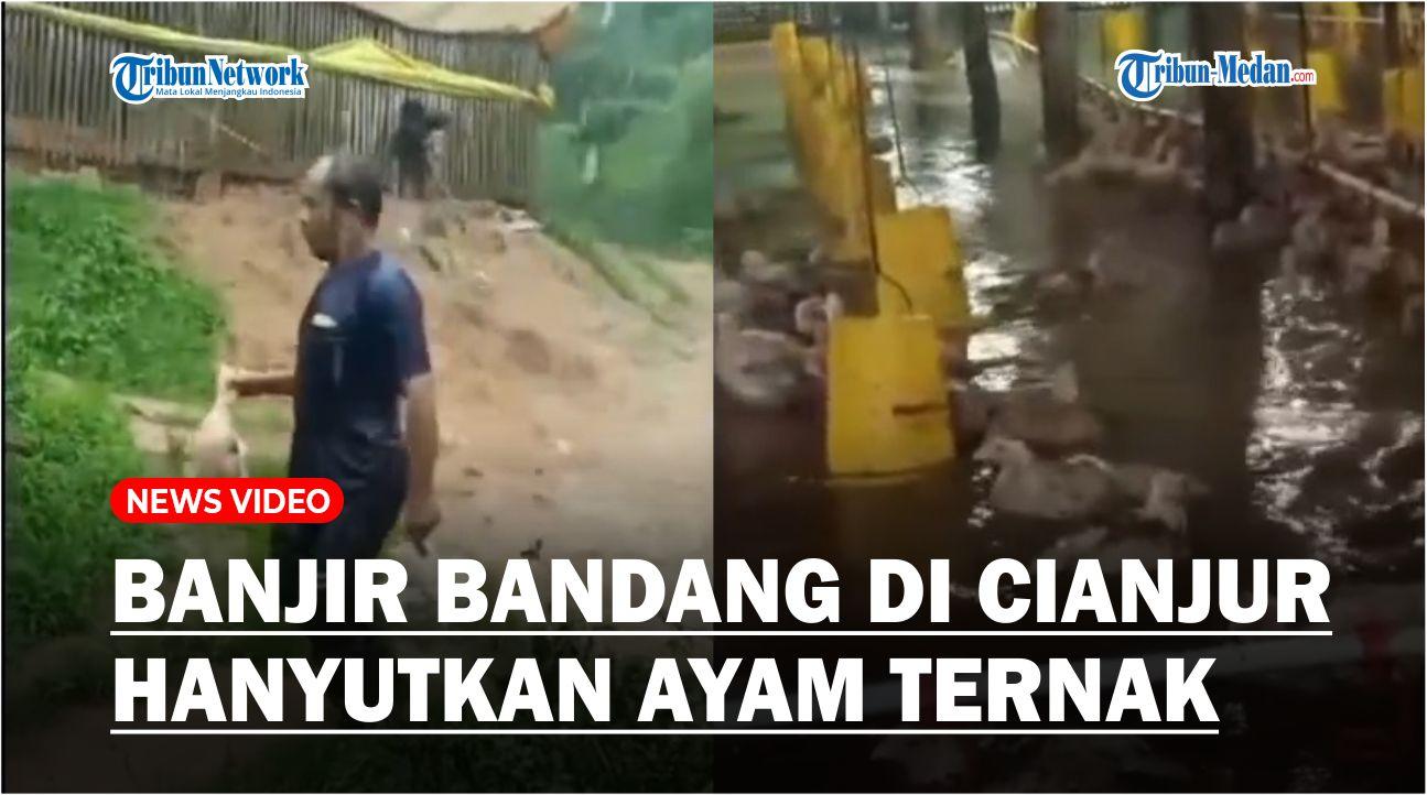 Banjir-Bandang-di-Cianjur-Hanyutkan-Ayam-Ternak-Pemilik-Histeris.jpg