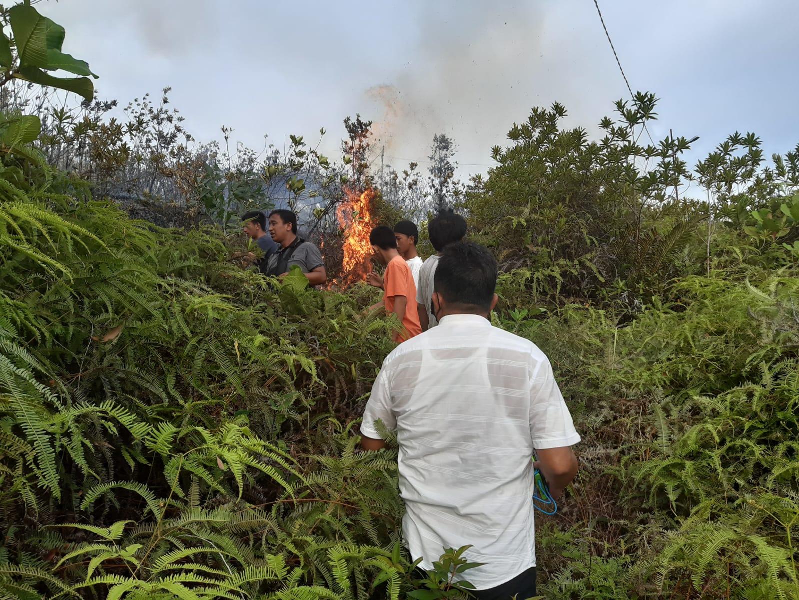 Bukit-Tor-Simarbarimbing-terbakar-tribunn.jpg