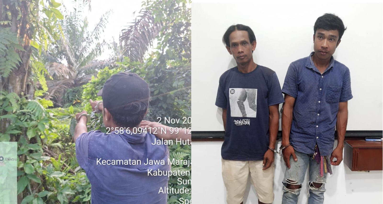 Polres Simalungun Tangkap Dua Pelaku Pencurian Sawit di PTPN-4 Bah Jambi
