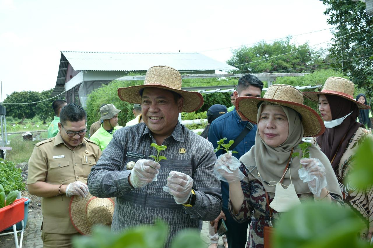 Eddy-Keleng-Ate-Berutu-saat-mengunjungi-penangkaran-tanaman-hidroponik.jpg