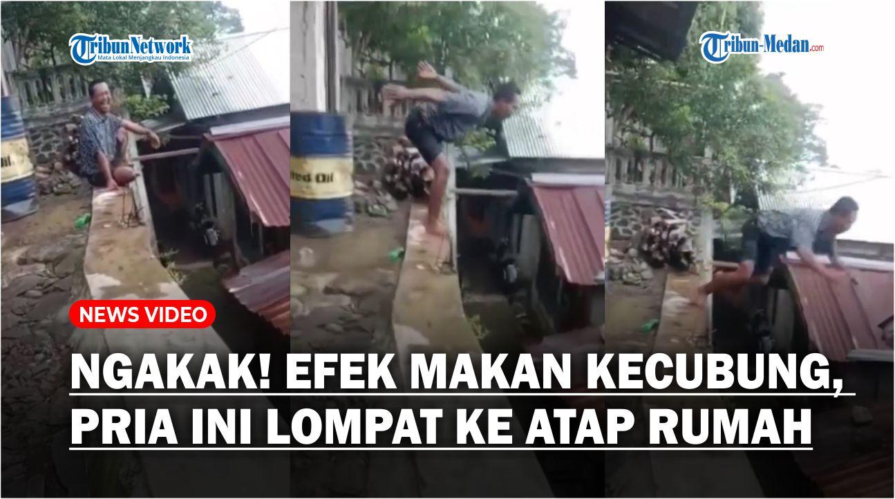 Efek-Makan-Buah-Kecubung-Pria-Ini-Lompat-ke-Atap-Rumah-Bak-di-Kolam-Renang.jpg
