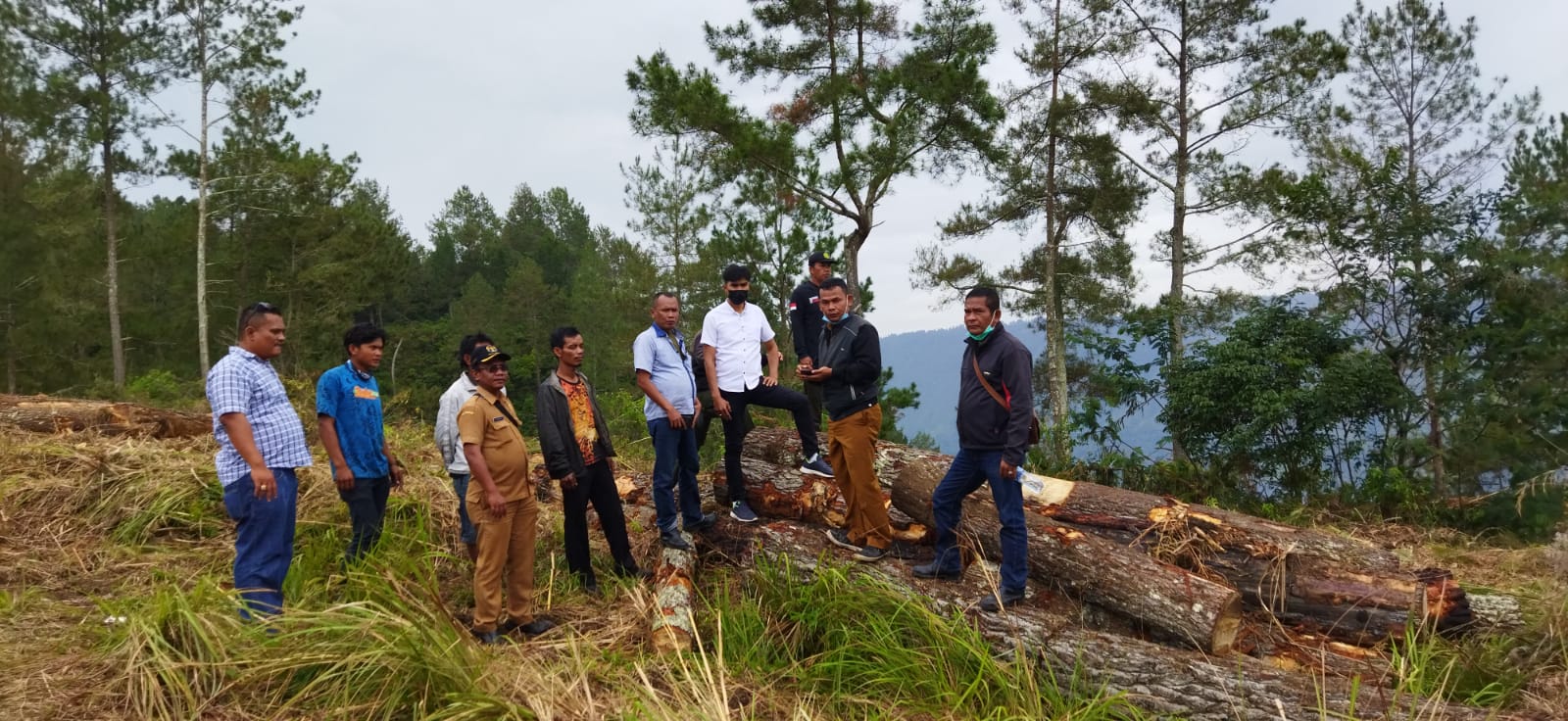 Hutan-Pinus-dirusak-sekelompok-mafia-ilegal-logging.jpg