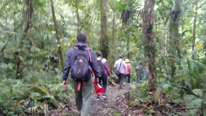 13 Pendaki Gunung Pangrango Ditemukan, Mendaki Untuk Mencari Wangsit, Nekat Lintasi Jalur Ilegal