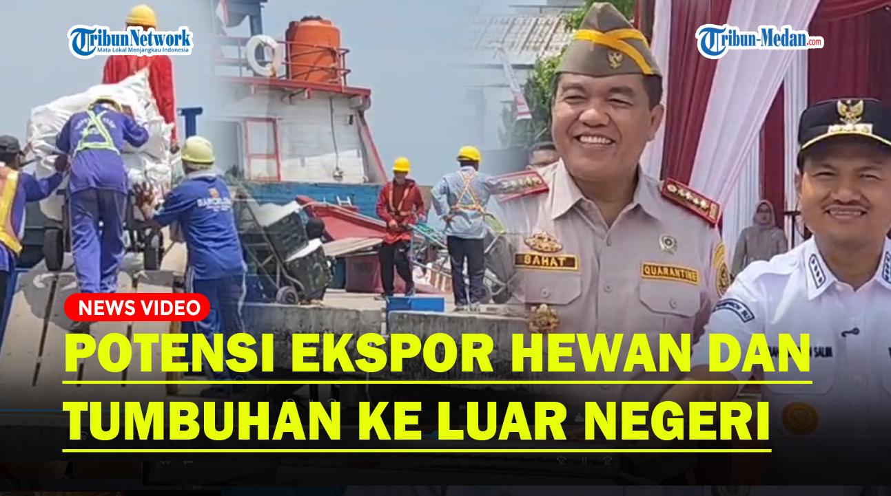 Kepala Badan Karantina Sebut Tanjungbalai Punya Potensi Ekspor Hewan dan Tumbuhan ke Luar Negeri 