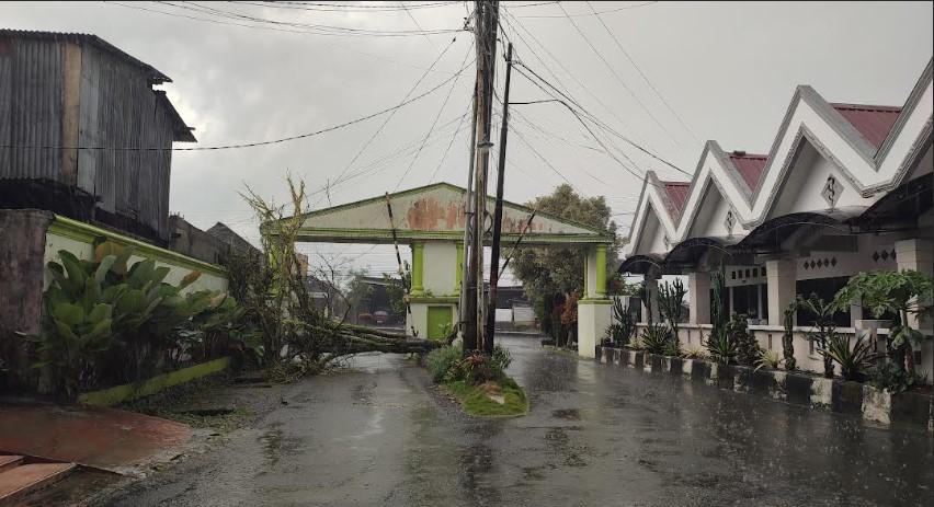 Kondisi-pohon-tumbang-di-pintu-masuk-salah-satu-perumahan-di-Kabanjahe.jpg