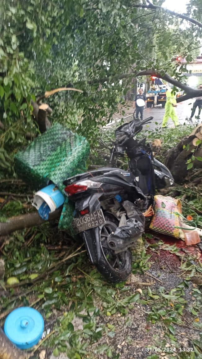 Kondisi-sepeda-motor-korban-yang-tertimpa-pohon-besar-di-Jalan-Imam-Bonjol-Kota-Medan.jpg