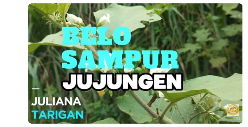LAGU-KARO-BELO-SAMPUR-JUJUNGEN.jpg