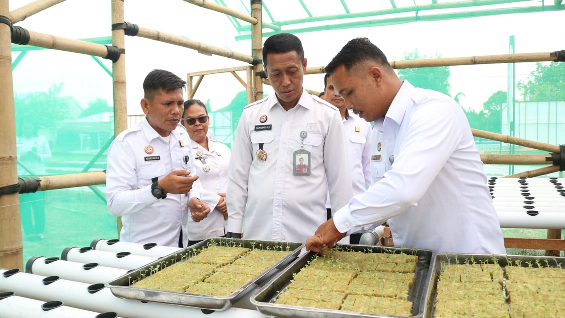 Lapas-Pematangsiantar-Resmikan-Green-House-Demi-Program-Ketahanan-Pangan.jpg