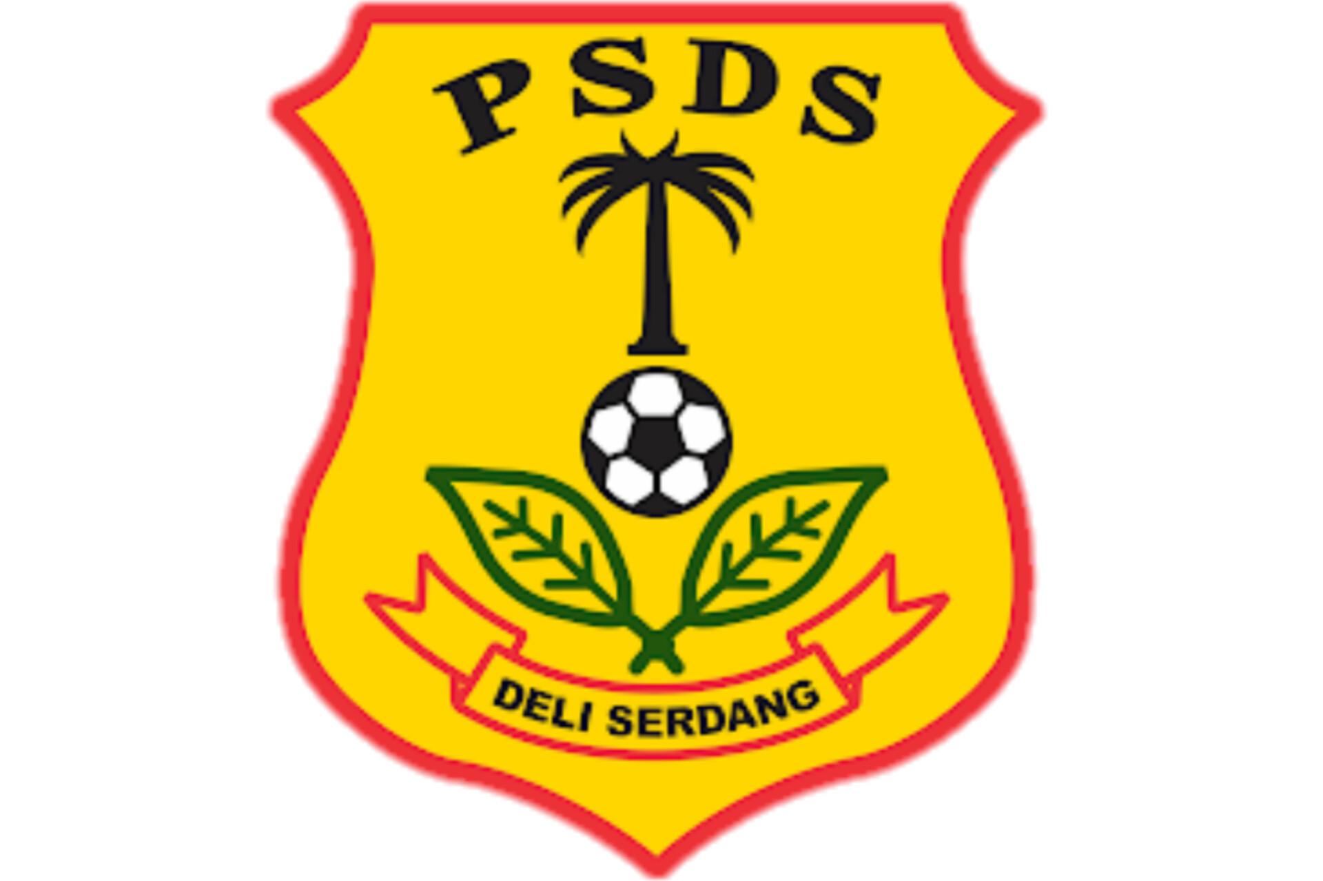 Logo-PSDS.jpg