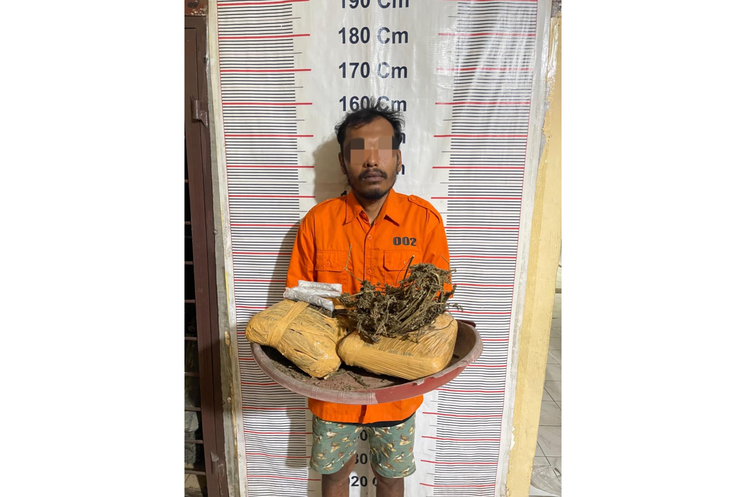 Pria di Langkat Diringkus, Polisi Sita 2 Kg Ganja yang Disimpan di Jok Sepeda Motor