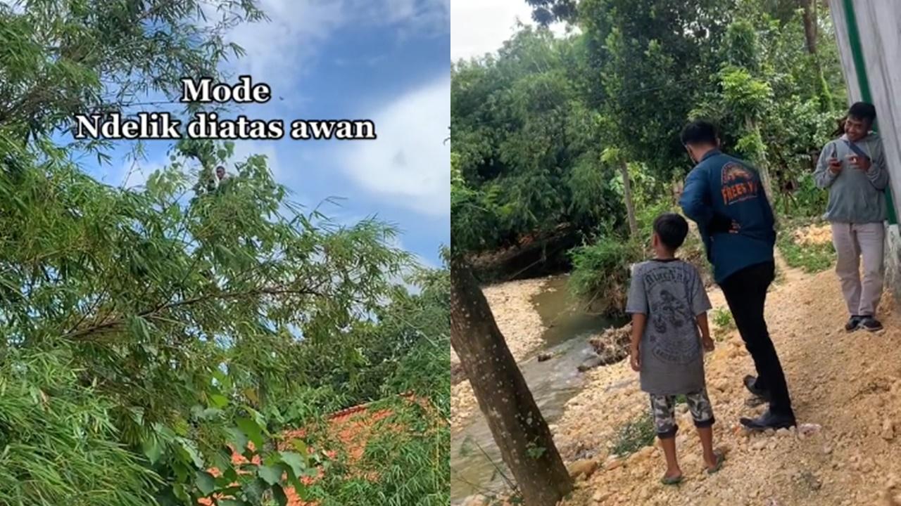 Nasabah-sembunyi-di-pucuk-pohon-karena-takut-ditagih-hutang.jpg