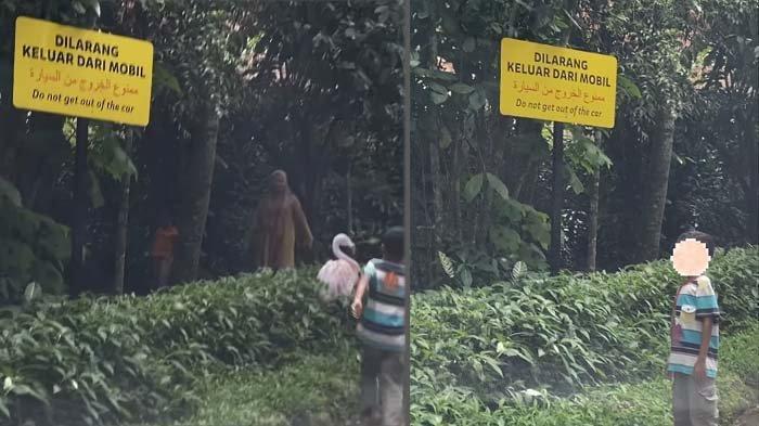 PENGUNJUNG-TAMAN-SAFARI-Tangkapan-layar-aksi-emak-emak-dan-bocah-nekat.jpg