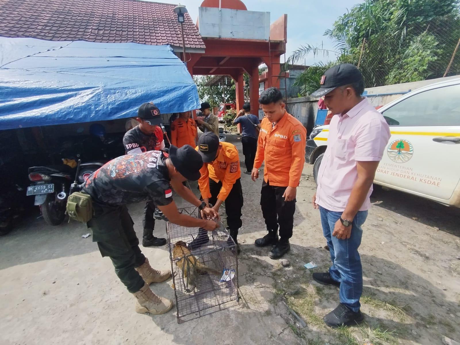 PENYERAHAN-MONYET-Badan-Penanggulangan-Bencana.jpg