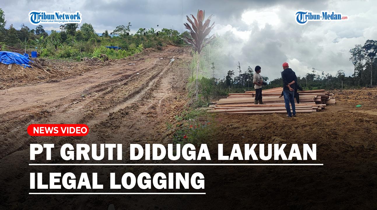 PT-Gruti-Klarifikasi-Terkait-diduga-Lakukan-Ilegal-Loggingaa.jpg