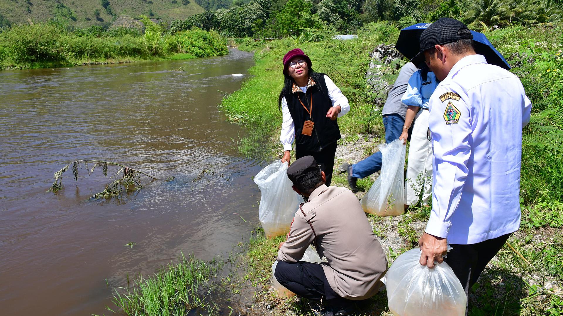 Pemkab-Samosir-Bersama-DKP-Provsu-Tabur-Ikan-di-Danau-Toba-1.jpg