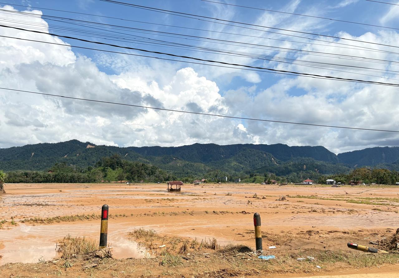 Penampakan-puluhan-hektare-sawah-yang-terendam-banjir-dan-lumpur.jpg