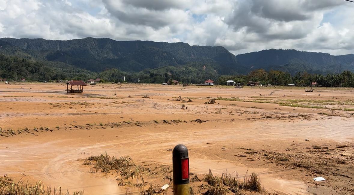 Penampakan-puluhan-hektare-sawah-yang-terendam.jpg