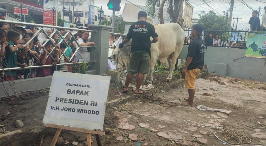 Penampakan-satu-ekor-sapi-milik-Jokowi-ada-di-Masjid-Perjuangan-45-Jalan-HM-Yamin.jpg