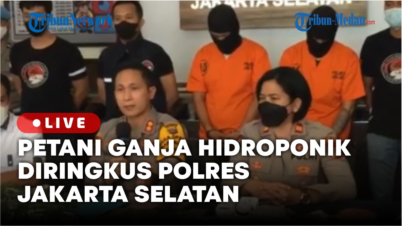 Petani-Ganja-Hidroponik-Diringkus-Polres-Jakarta-Selatan.jpg