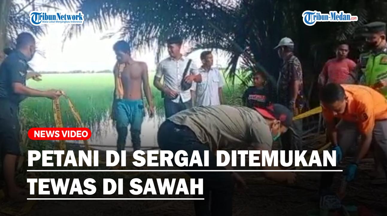 Petani-di-sergai-ditemukan-Tewas-di-sawahaa.jpg
