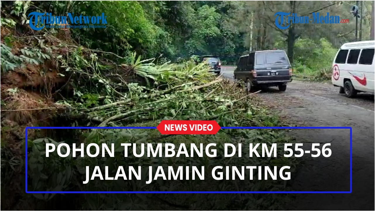 Pohon-Tumbang-di-Km-55-56.jpg