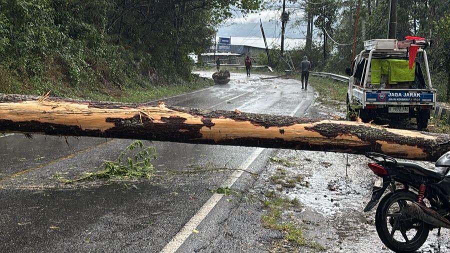 Pohon Tumbang Tutup Jalan Siantar-Parapat, Polisi Respons Cepat Laporan Warga lewat Call Center 110