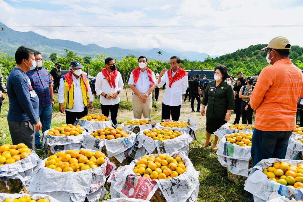 Presiden-JOkowi-dalam-lawatan-kerjanya-di-Kampung-Jeruk-Liang-Melas-Datas.jpg