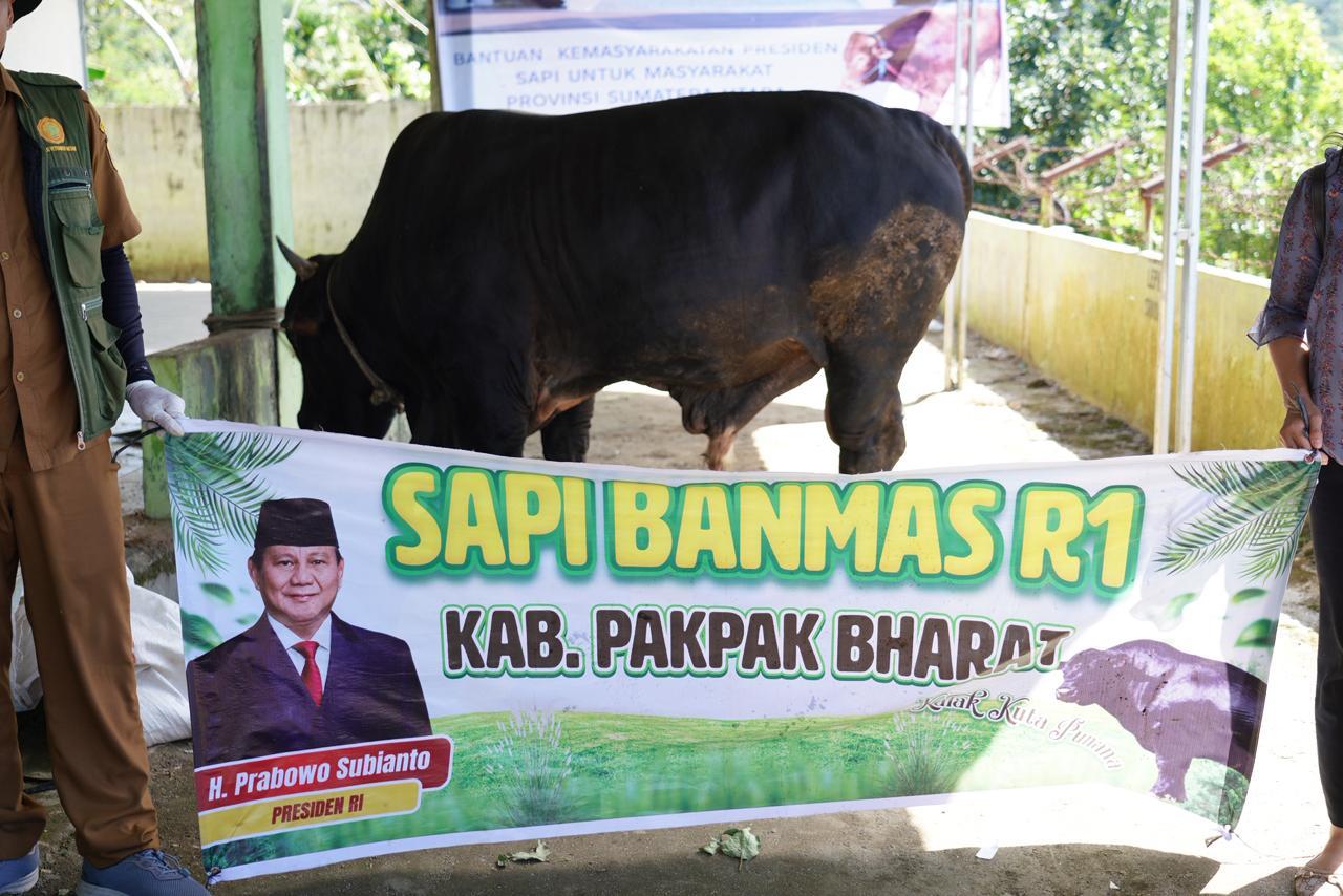 Sapi-kurban-Prabowo-Subianto-ke-papak-2026.jpg