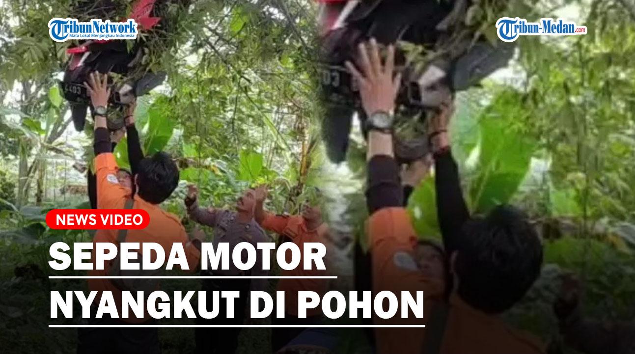 Sepeda-motor-nyangkut-di-pohon.jpg