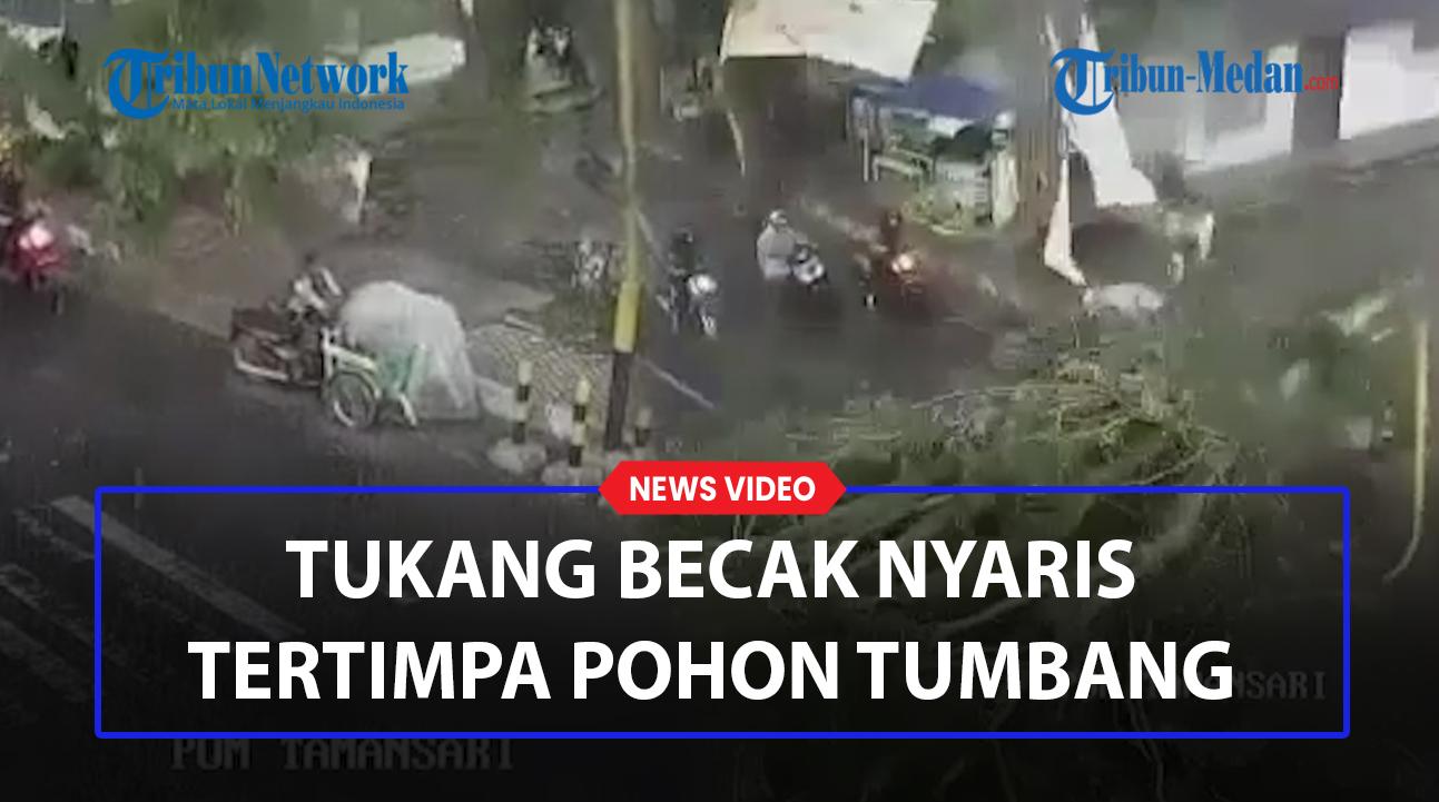 Terekam-CCTV-Tukang-Becak-Nyaris-Tertimpa-Pohon-Tumbang.jpg