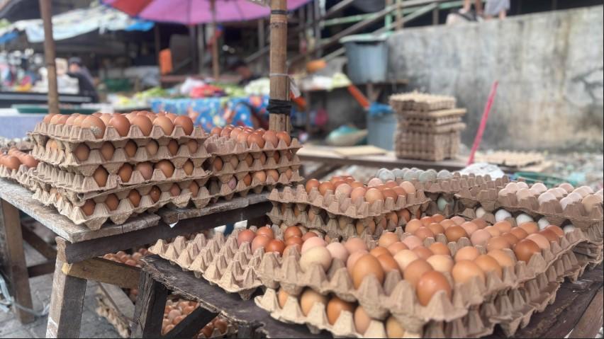 Harga Telur di Medan Mulai Naik Lagi, Masyarakat Pilih Telur Pecah untuk Berhemat - Tribun-medan.com