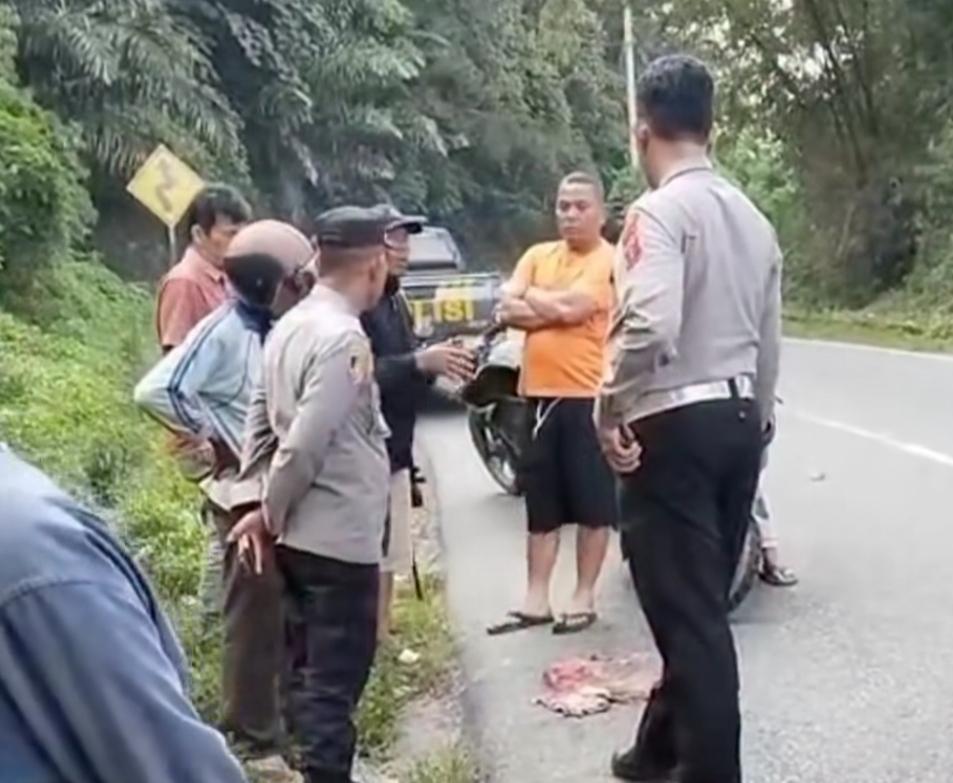 Video-Warga-dan-polisi-saat-mengecek-macan-akar.jpg