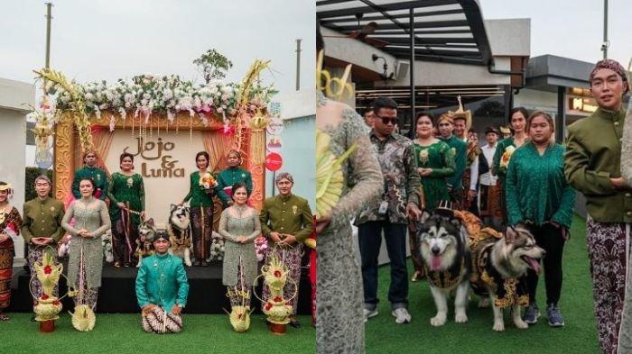 Viral-pernikahan-anjing-bernama-Jojo-dan-Luna-yang-memakai-adat-Jawa-lengkap.jpg