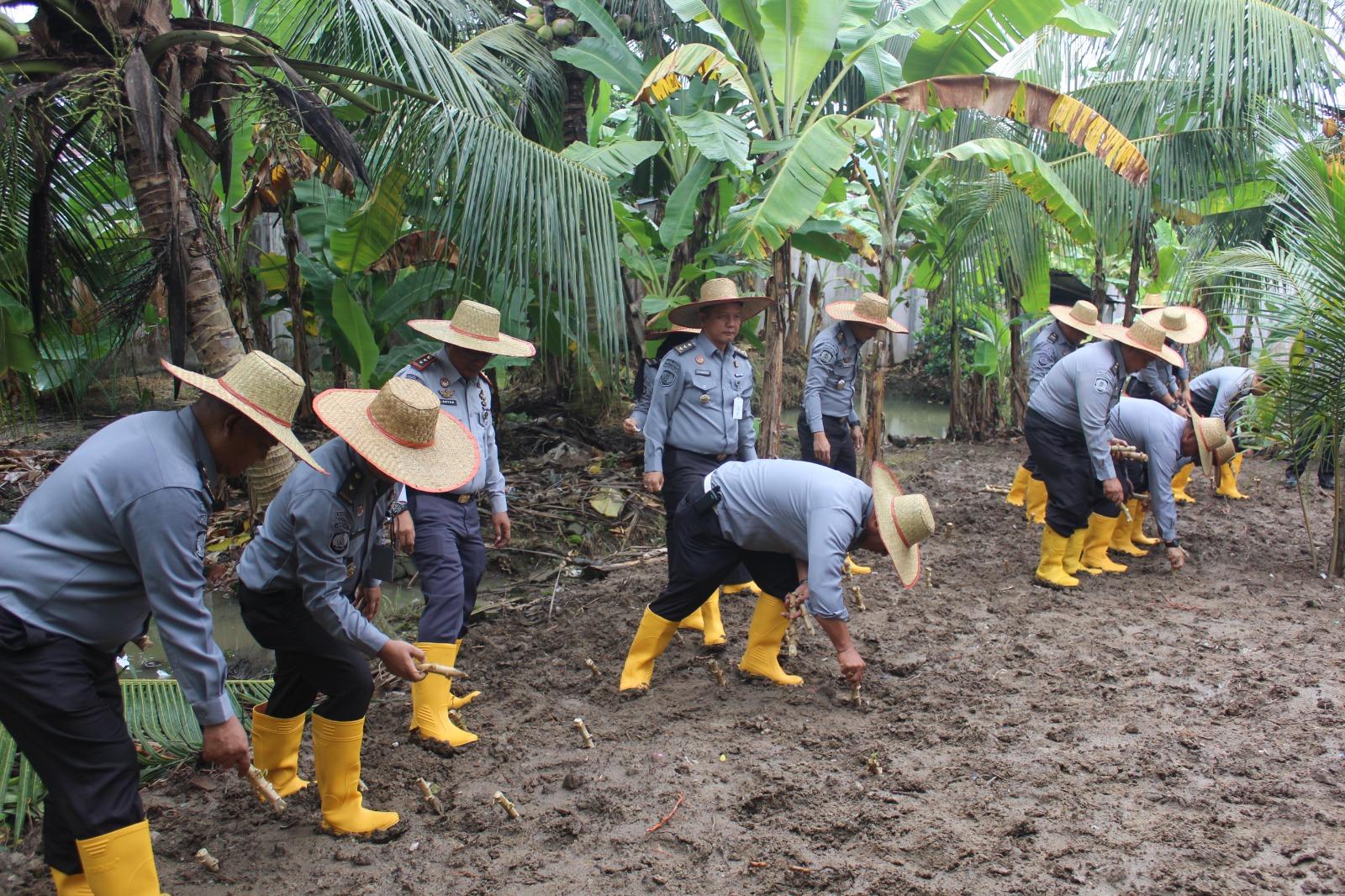 Tanam Singkong dan Tebar Bibit Ikan, Lapas Binjai Dukung Program Ketahanan Pangan Menteri Imipas