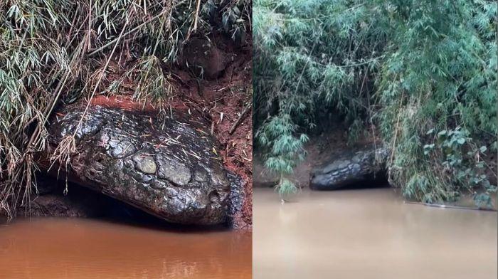 Dumba bilan HD porno