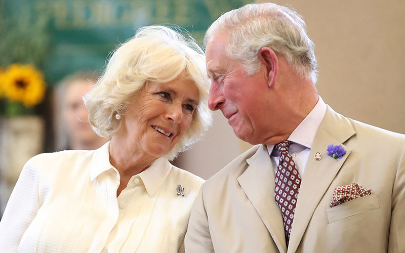Camilla, Pelakor Jadi Permaisuri