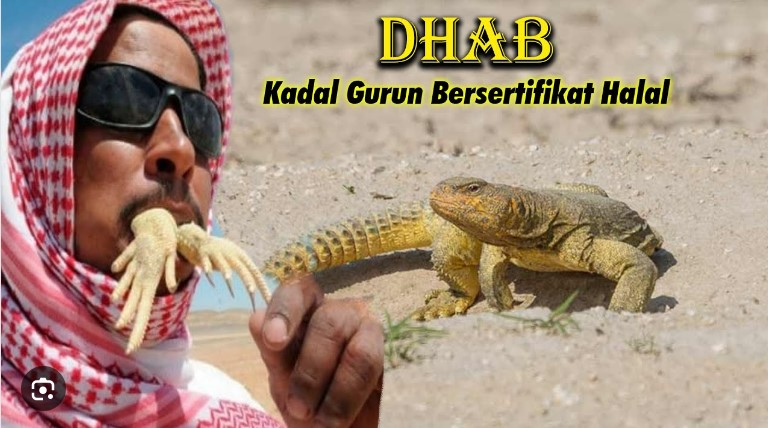 Halal, Kadrun atau Dhab Dimakan Orang Arab, Tapi Tidak Dimakan Nabi Muhammad