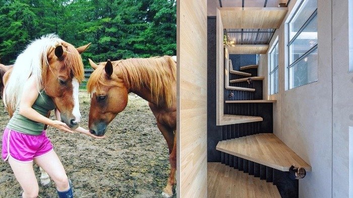 Yuk Tes Mata, Apakah Kamu Bisa Temukan Kejanggalan dalam 10 Foto Berikut Ini?