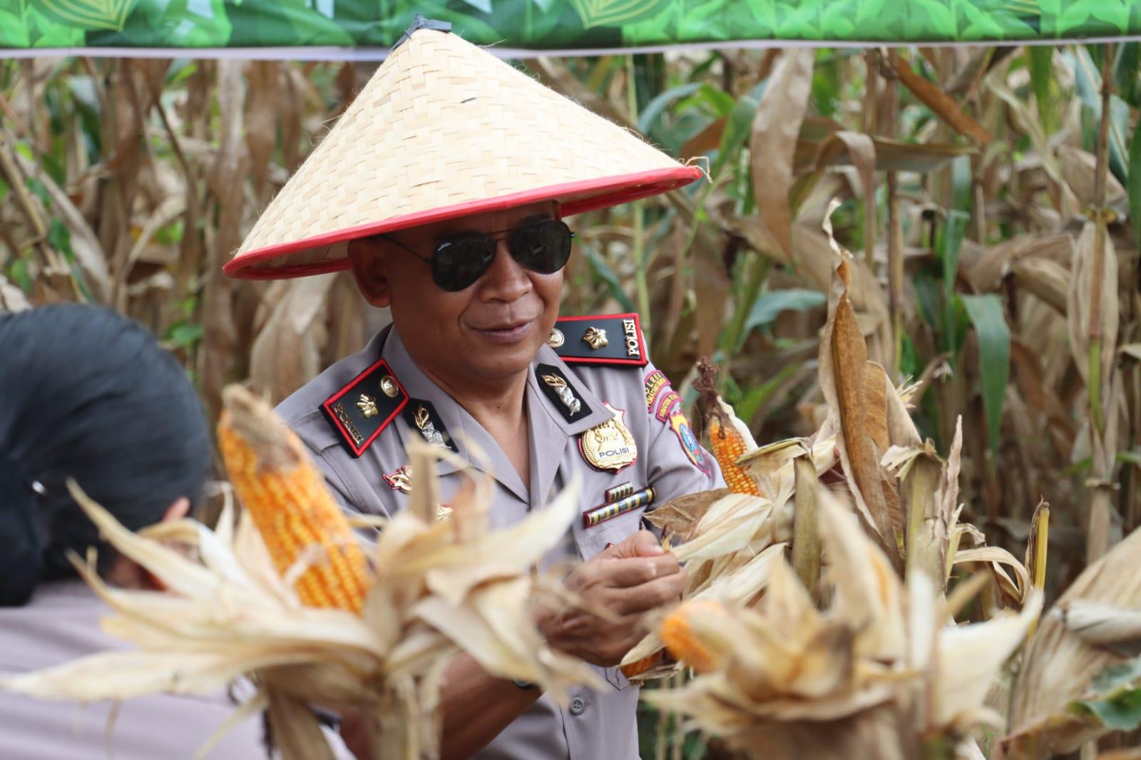 ketahanan-pangan-nasional-di-kuartal-1-2026.jpg