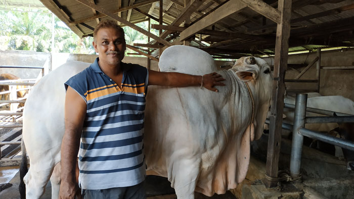 Bolehkah Kurban Online? Berikut Dalil dan Penjelasannya