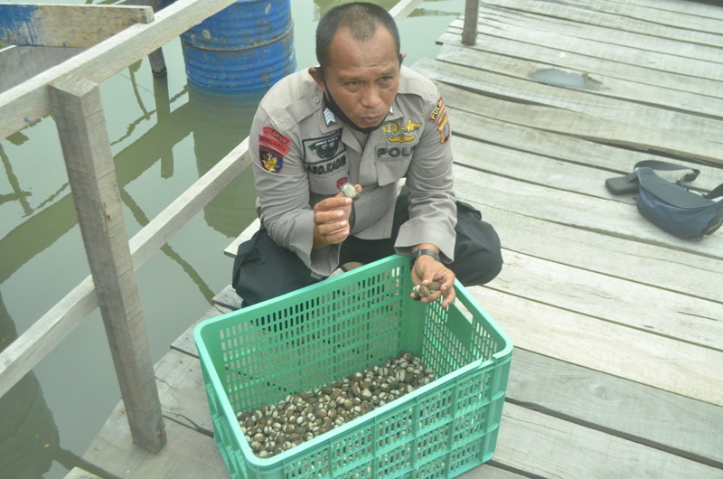 polisi-kerang.jpg