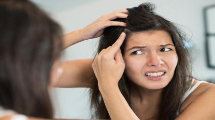 Cukup Gunakan Kapur Barus, Rambut Beruban Bisa dengan Mudah Diatasi, Begini Cara Membuat Ramuannya